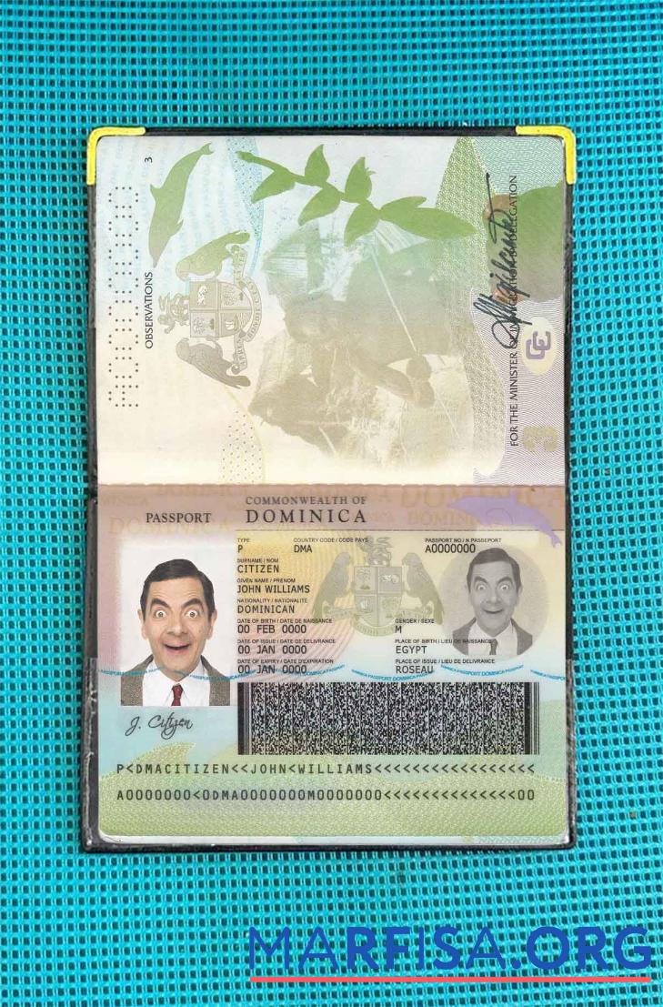Blank Dominican Passport photo look download for verification